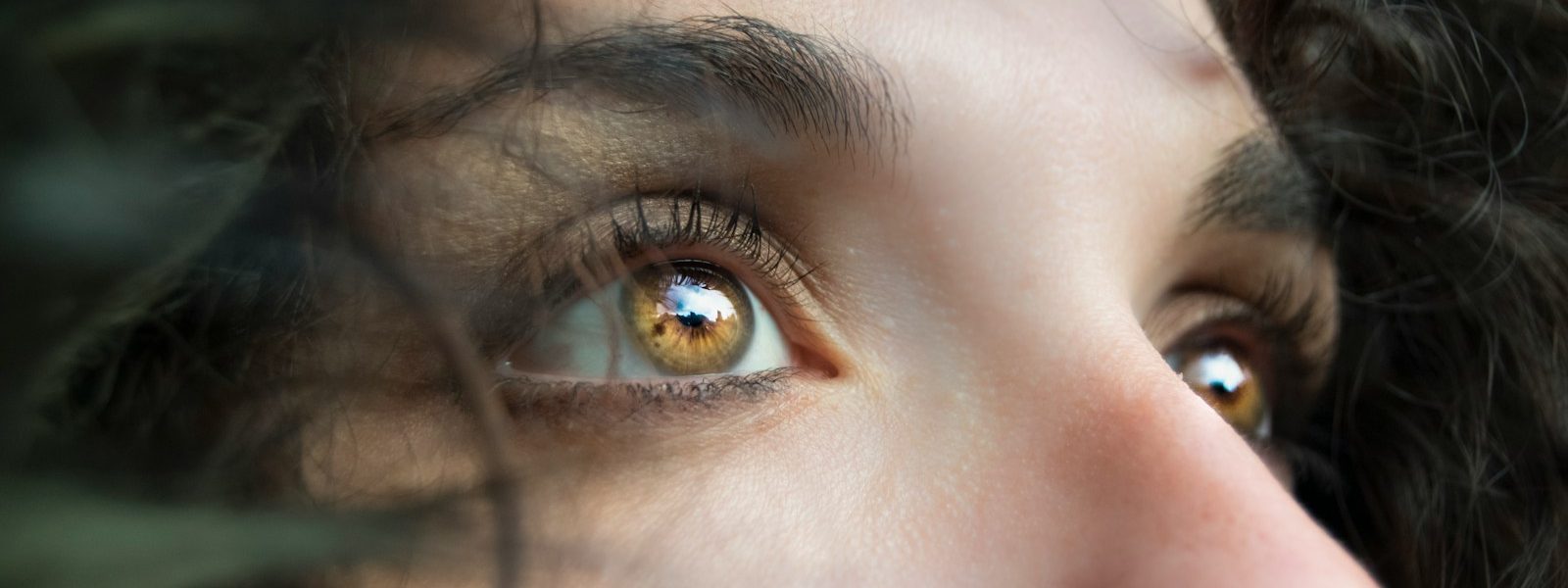 closeup photo of person