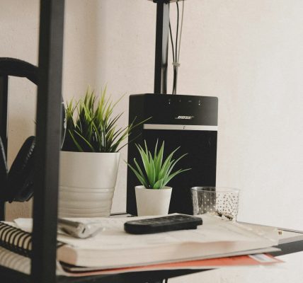 green potted plant on table