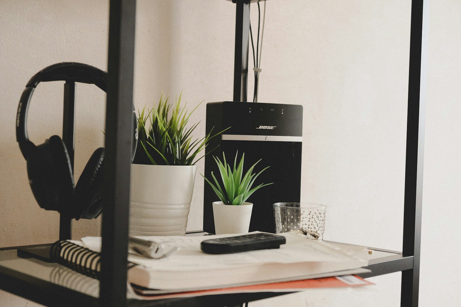 green potted plant on table